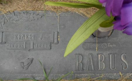 RABUS, ERNEST J. - Linn County, Iowa | ERNEST J. RABUS 
