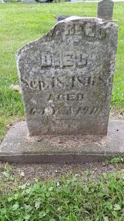 REED, R.W. - Linn County, Iowa | R.W. REED 