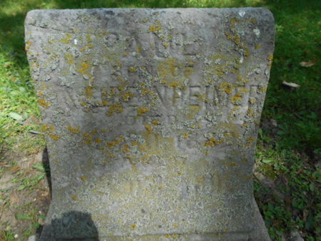 REINHEIMER, PAUL - Linn County, Iowa | PAUL REINHEIMER 