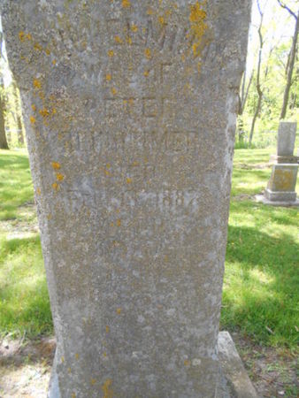 REINHEIMER, WILHELMINA - Linn County, Iowa | WILHELMINA REINHEIMER 