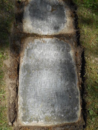 ROBINS, JOSEPH - Linn County, Iowa | JOSEPH ROBINS 