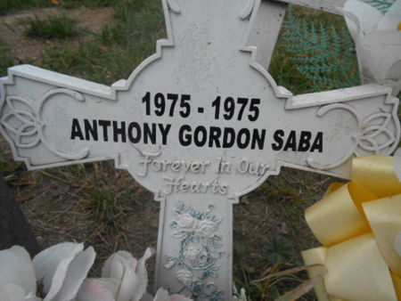 SABA, ANTHONY GORDON - Linn County, Iowa | ANTHONY GORDON SABA 