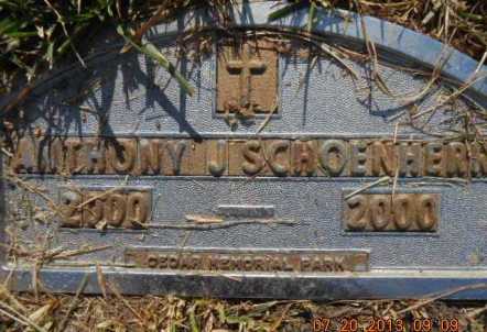 SCHOENHERN, ANTHONY J. - Linn County, Iowa | ANTHONY J. SCHOENHERN 