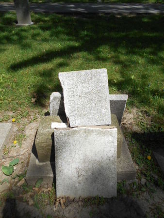 EDWARDS SEELY, TEMPERANCE - Linn County, Iowa | TEMPERANCE EDWARDS SEELY 