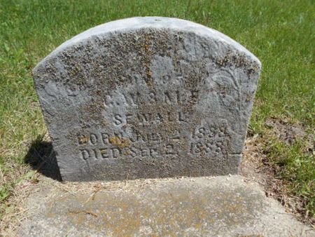 SEWELL, EDMOND - Linn County, Iowa | EDMOND SEWELL 