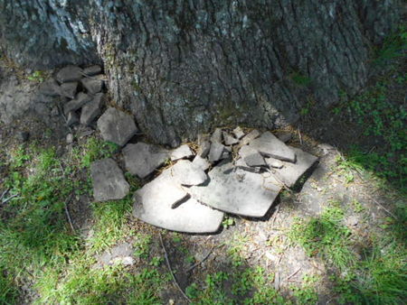 SHULTZ, MARY - Linn County, Iowa | MARY SHULTZ 