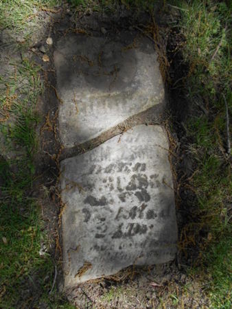 SMITH, ROLLIN - Linn County, Iowa | ROLLIN SMITH 