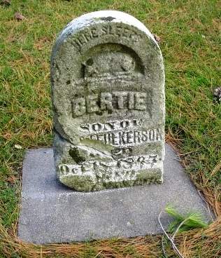 STEULKERSON, BERTIE - Linn County, Iowa | BERTIE STEULKERSON 