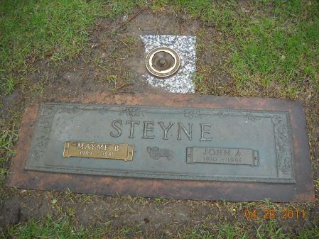 STEYNE, JOHN A - Linn County, Iowa | JOHN A STEYNE 