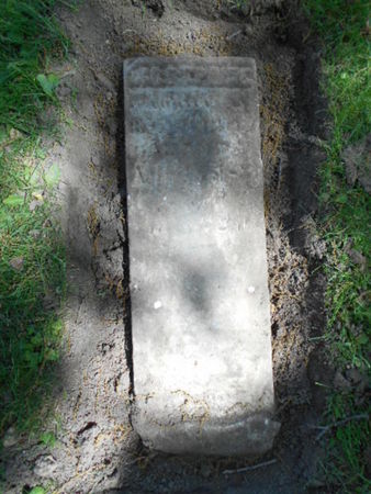 STIEGMAN, JOSEPHINE - Linn County, Iowa | JOSEPHINE STIEGMAN 