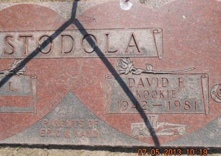 STODOLA, DAVID F. - Linn County, Iowa | DAVID F. STODOLA 