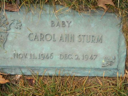 STURM, CAROL ANN - Linn County, Iowa | CAROL ANN STURM 