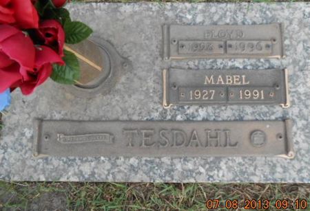 TESDAHL, FLOYD - Linn County, Iowa | FLOYD TESDAHL 