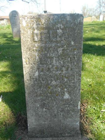 TRYON, DELIA - Linn County, Iowa | DELIA TRYON 