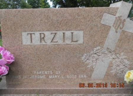 TRZIL, FAMILY STONE - Linn County, Iowa | FAMILY STONE TRZIL 