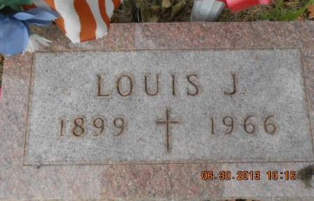 TRZIL, LOUIS J. - Linn County, Iowa | LOUIS J. TRZIL 