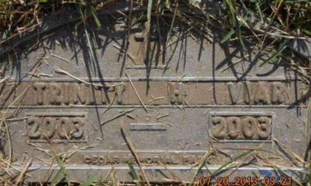 VIAR, TRINITY H. - Linn County, Iowa | TRINITY H. VIAR 