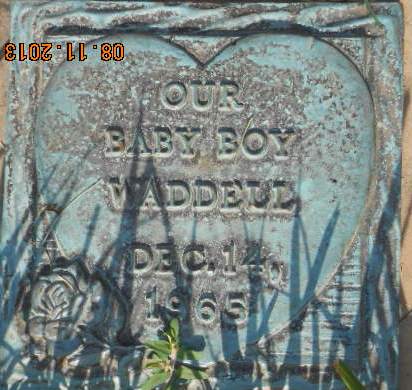 WADDEL, BABY BOY - Linn County, Iowa | BABY BOY WADDEL 