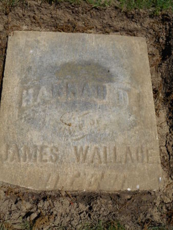 ROBINS WALLACE, HANNAH D. - Linn County, Iowa | HANNAH D. ROBINS WALLACE 