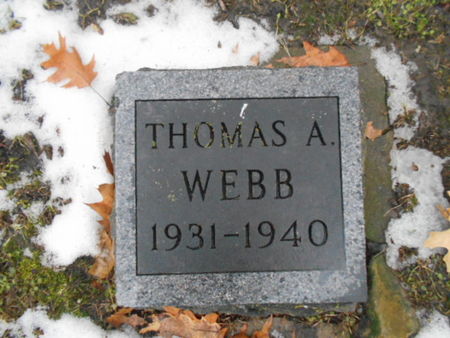 WEBB, THOMAS A. - Linn County, Iowa | THOMAS A. WEBB 