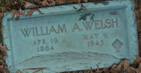 WELSH,, WILLIAM - Linn County, Iowa | WILLIAM WELSH, 