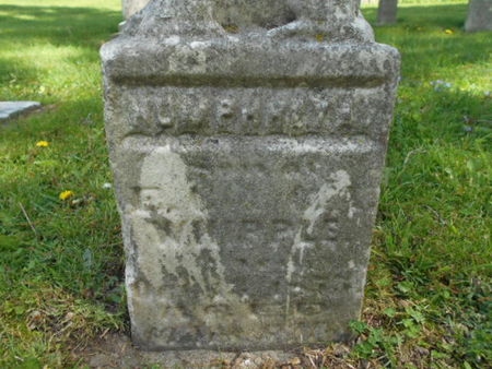 WHIPPLE, HUMPHREY A. - Linn County, Iowa | HUMPHREY A. WHIPPLE 