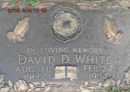 WHITE, DAVID D. - Linn County, Iowa | DAVID D. WHITE 