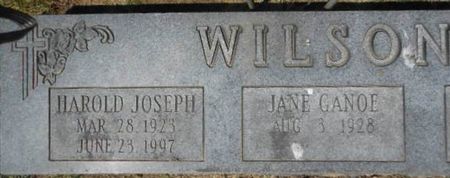 WILSON, HAROLD JOSEPH - Linn County, Iowa | HAROLD JOSEPH WILSON 