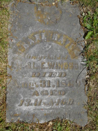 WINDSOR, FRANK HAVEN - Linn County, Iowa | FRANK HAVEN WINDSOR 