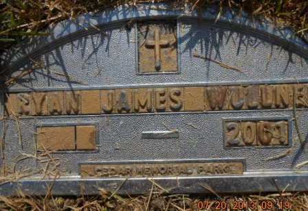 WULLNER, RYAN JAMES - Linn County, Iowa | RYAN JAMES WULLNER 