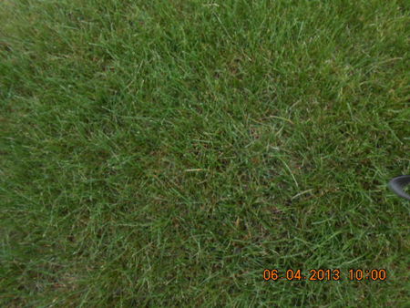 ZAHN, HORST A. - Linn County, Iowa | HORST A. ZAHN 