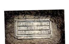 BERGEN, LEWS - Louisa County, Iowa | LEWS BERGEN 