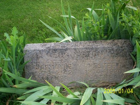 EDGINGTION CHERSTER, DUDLY - Louisa County, Iowa | DUDLY EDGINGTION CHERSTER 