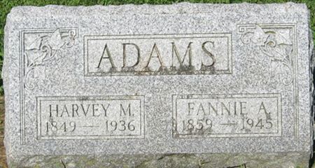 ADAMS, HARVEY M. - Louisa County, Iowa | HARVEY M. ADAMS 
