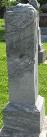 ALDRICH, WILLARD J. - Louisa County, Iowa | WILLARD J. ALDRICH 