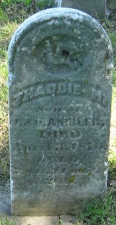 AMBLER, THADDIE M. - Louisa County, Iowa | THADDIE M. AMBLER 