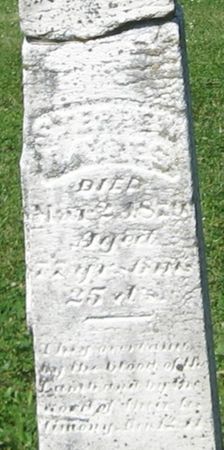 BAYLES, STEPHEN - Louisa County, Iowa | STEPHEN BAYLES 