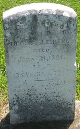 BELL, WILLIAM - Louisa County, Iowa | WILLIAM BELL 