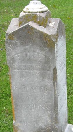 MORHINWAY BLAUER, ROSA - Louisa County, Iowa | ROSA MORHINWAY BLAUER 