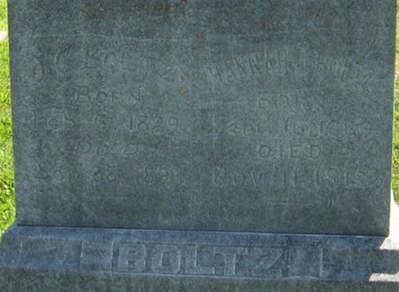 BOLTZ, HANNAH J. - Louisa County, Iowa | HANNAH J. BOLTZ 