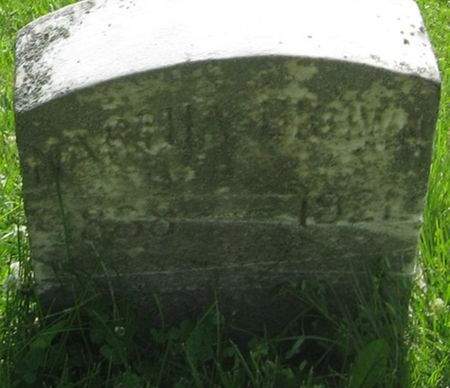 BROWN, MARTHA - Louisa County, Iowa | MARTHA BROWN 