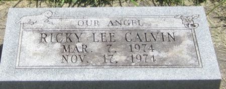 CALVIN, RICKY LEE - Louisa County, Iowa | RICKY LEE CALVIN 