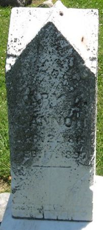 CANNON, MARY A. - Louisa County, Iowa | MARY A. CANNON 