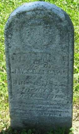 CAVIN, MARSHALL - Louisa County, Iowa | MARSHALL CAVIN 