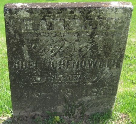 CHENOWETH, HARRIET - Louisa County, Iowa | HARRIET CHENOWETH 