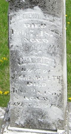 CHENOWETH, HARRIET - Louisa County, Iowa | HARRIET CHENOWETH 