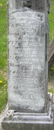 CHENOWETH, MARY - Louisa County, Iowa | MARY CHENOWETH 