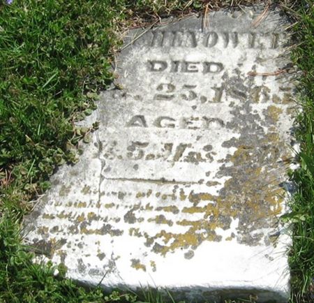 CHENOWETH, SARAH - Louisa County, Iowa | SARAH CHENOWETH 