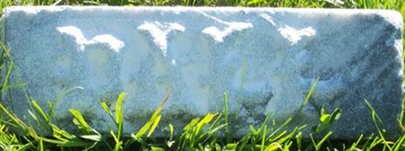 COPELAND, DALL - Louisa County, Iowa | DALL COPELAND 