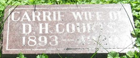 COURTS, CARRIE - Louisa County, Iowa | CARRIE COURTS 